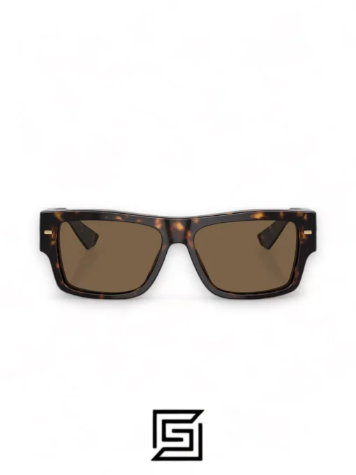 For men,Sunglasses sunglasses DG4451/TIGER - BROWN Dg