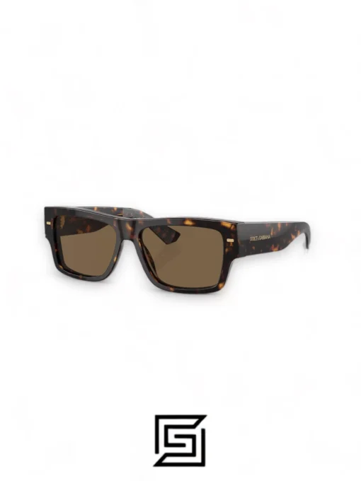 For men,Sunglasses sunglasses DG4451/TIGER - BROWN Dg